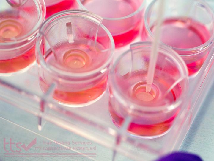 Irritation Test in Biocidal Products ( OECD 439)