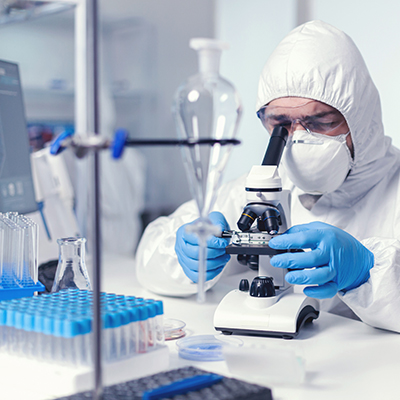 Physicochemical Analyses