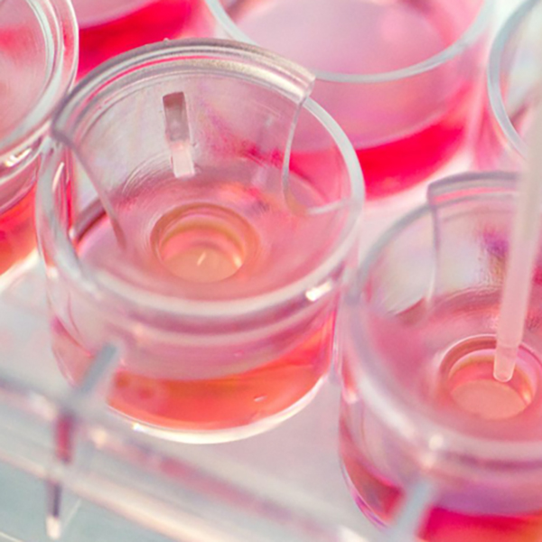 Irritation (In Vitro Skin Irritation) Analysis