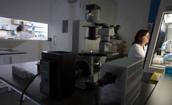 . Quantitative suspension test for the evaluation of fungicidal or yeasticidal activity