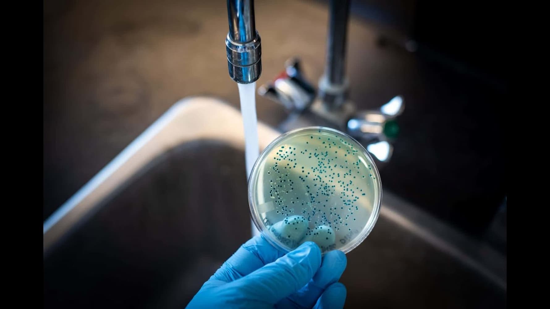 Water Microbiology