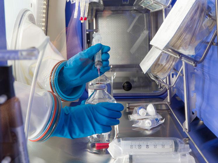 BIOCONTAMINATION TESTS