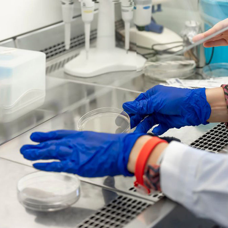 Process Validation