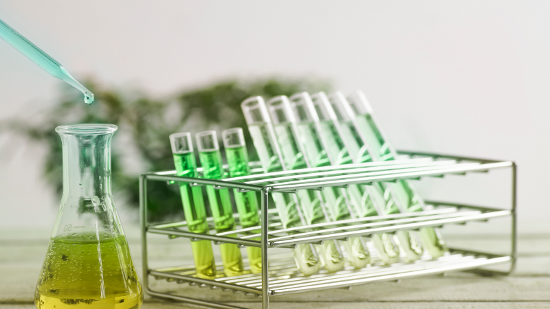 What Are VOCs? Why Volatile Organic Compound Analyses Are Critically Important