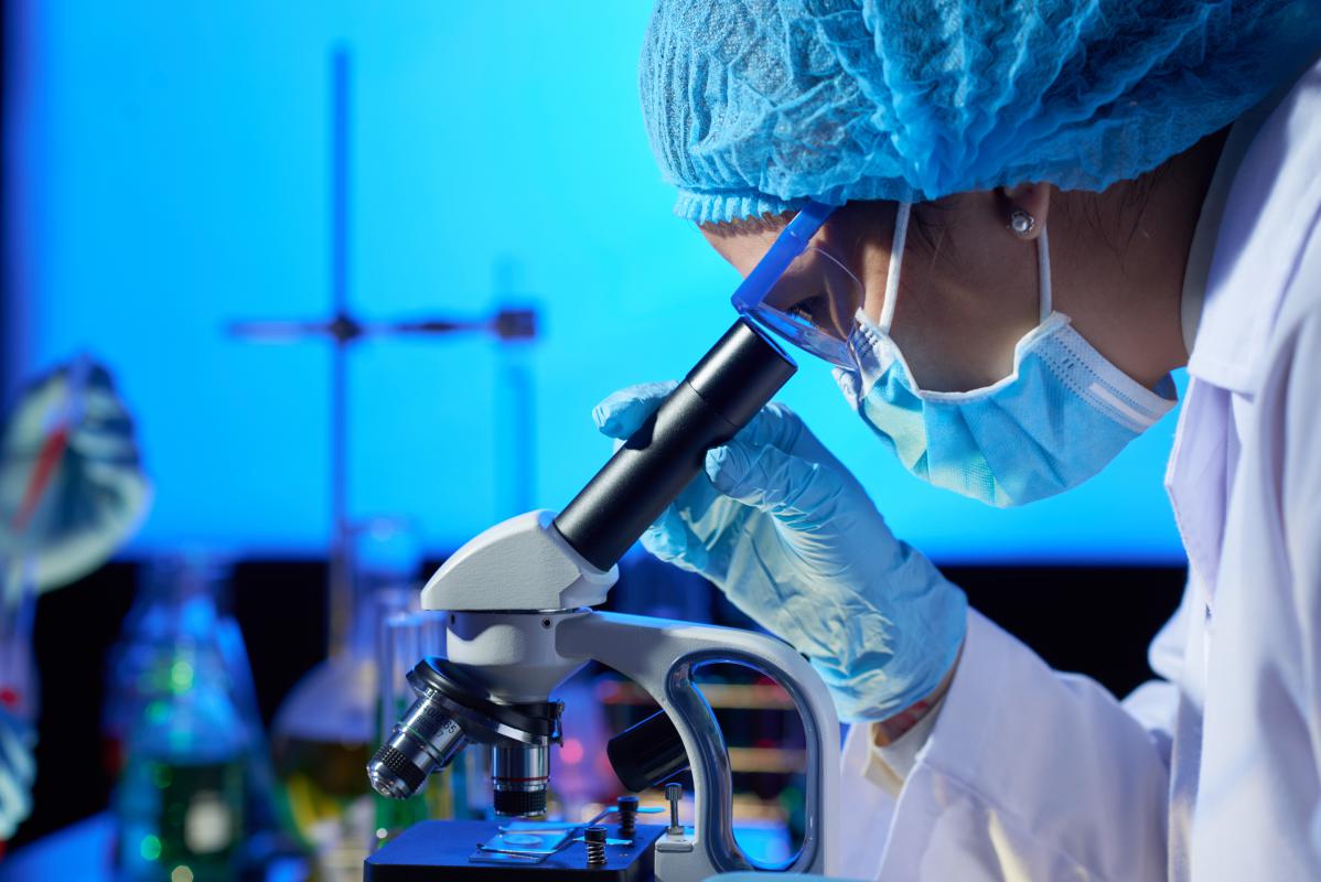 BE-BIO: Measuring Ecocompatibility Through Biodegradability Testing