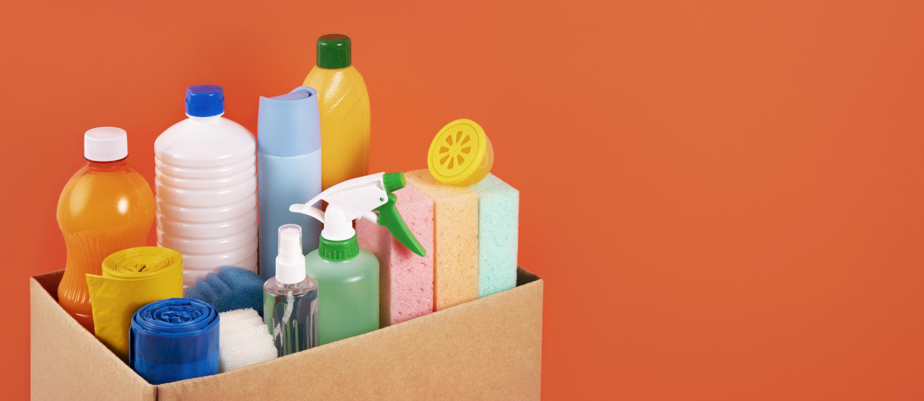 Seawater Impact: Ecotoxicity of Detergents Used in Coastal Areas